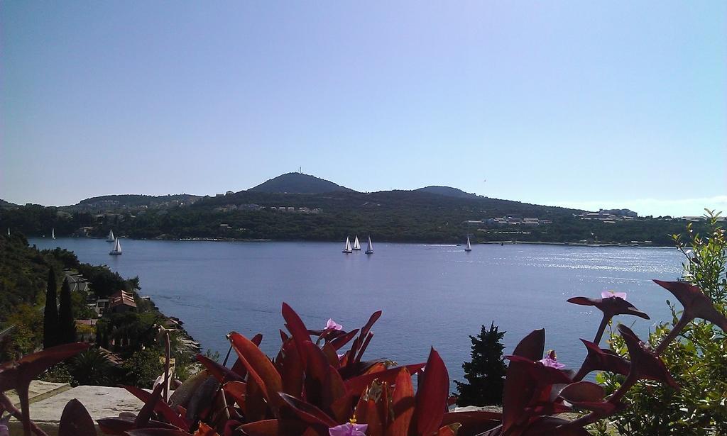 Apartments Anamaria Dubrovnik Bilik gambar