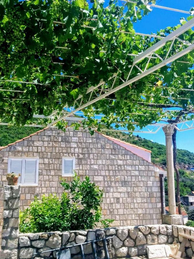 Apartments Anamaria Dubrovnik Luaran gambar